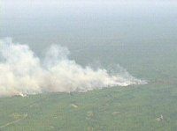 Warton State Park Forest Fire. Picture from NBC10.com