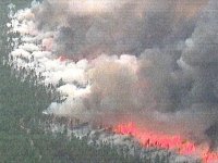 Warton State Park Forest Fire. Picture from NBC10.com