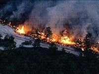 Warton State Park Forest Fire. Picture from NBC10.com